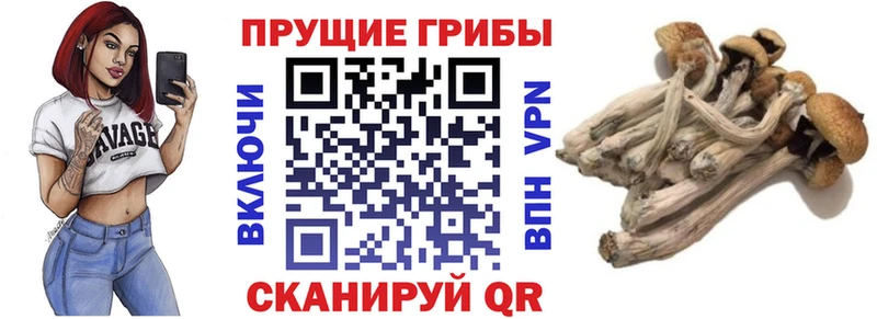 Галлюциногенные грибы мухоморы  блэк спрут ссылка  Избербаш  купить  цена 